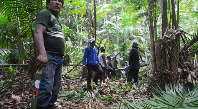 Munduruku na abertura de picada no meio da mata fechada pela demarcacao de terra indigena